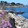 Pacific Grove
