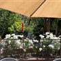 Beautiful Villa with a beautiful backyard on a large lot