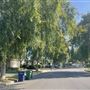 Quaint home with large front and back yard with pool, quite street, easy loading/unloading