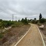 San Gabriel River Park