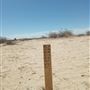 Desert Bliss