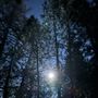 20 acres of Alpine mountainside with forests, granite and beautiful views