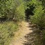 Malibu Creek State Park (SP)