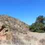 Cleveland National Forest