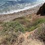 Staircase Beach @ Leo Carrillo State Park (SP) - CFC