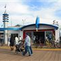 Blazing Saddles Beach Rentals & Tours