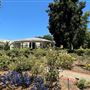Huntington Library, Art Museum, and Botanical Gardens