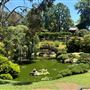 Huntington Library, Art Museum, and Botanical Gardens