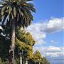 City of San Gabriel