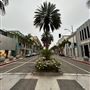 Rodeo Drive - Beverly Hills