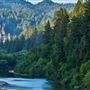 Dawn Ranch - Fern Grove Cottage