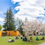 University of California, Santa Cruz - UCSC