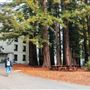 University of California, Santa Cruz - UCSC