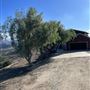Murillo Cabin