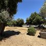 Los Encinos State Historic Park (SHP) adjacent to currently closed Lakeside Restaurant & Lounge