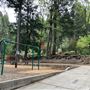 Dunsmuir City Park Sacramento River