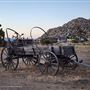 Desert Willow Ranch