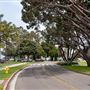 Loyola Marymount University - LMU