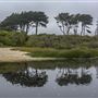 Half Moon Bay State Beach (SB)