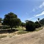 Orcutt Ranch Horticultural Center & Community Garden
