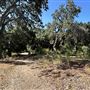 Orcutt Ranch Horticultural Center & Community Garden