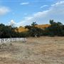 Driftwood Ranch