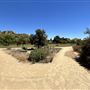 Chatsworth Park South