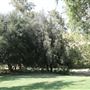 Ed Davis Park in Towsley Canyon - Santa Monica Mountains Conservancy - SMMC