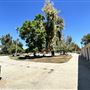 Shadow Ranch Park