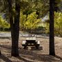 Columbia State Historic Park (SHP)
