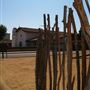 El Presidio de Santa Barbara State Historic Park (SHP)
