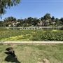 Echo Park Lake Recreation Center