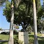 Echo Park Lake Recreation Center