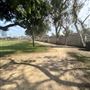 Syd Kronenthal Park