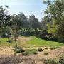 Elysian Park - Angels Point
