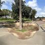 Edward Vincent Park