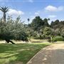 Edward Vincent Park