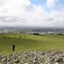 Taylor Mountain Regional Park