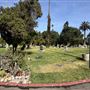Hollywood Forever Cemetery