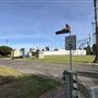 Hollywood Forever Cemetery