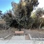 Serrania Park