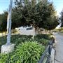 Serrania Park