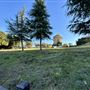 Serrania Park