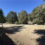 Camp Williams Resort