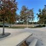 Central Park