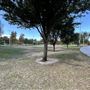 Central Park