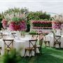 Tuscan Rose Ranch