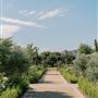 Tuscan Rose Ranch