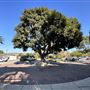 Los Angeles River Center & Gardens - Santa Monica Mountains Conservancy - SMMC