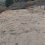 Andrade Grove Family Farm